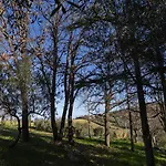Cavallara - Pace, Natura E Musica Apartment Corpolo