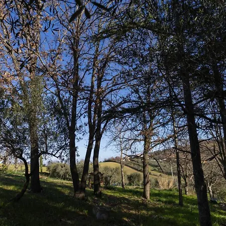 Cavallara - Pace, Natura E Musica A Santarcangelo Di Romagna Appartamento Corpolo